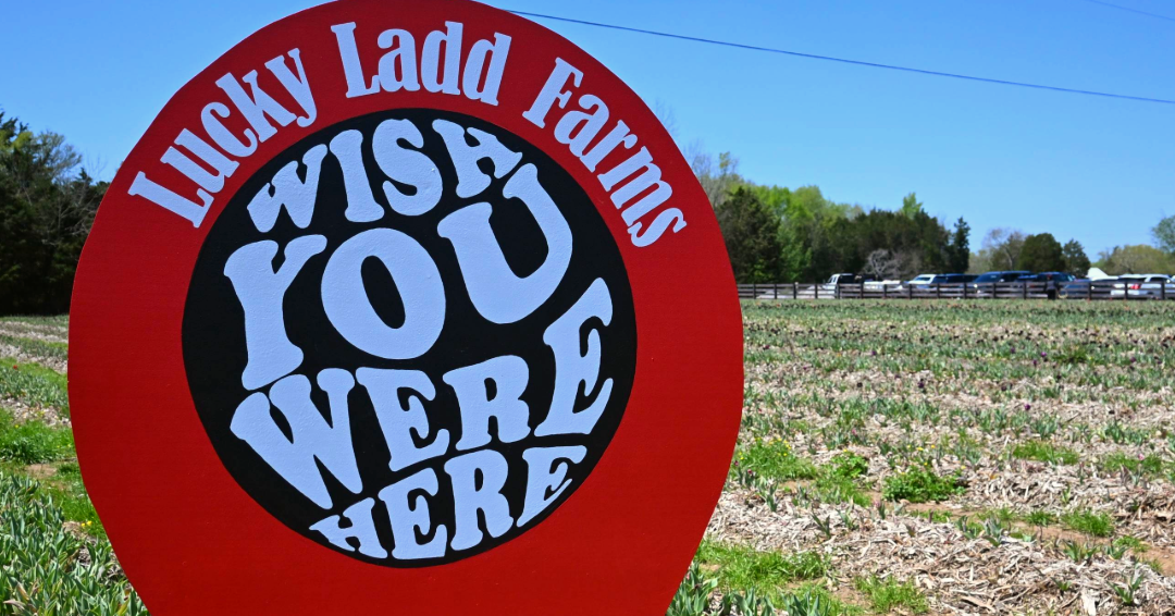 A location-pin themed sign at Lucky Ladd Farms in Eagleville Tennessee that read "Wish You Were Here."