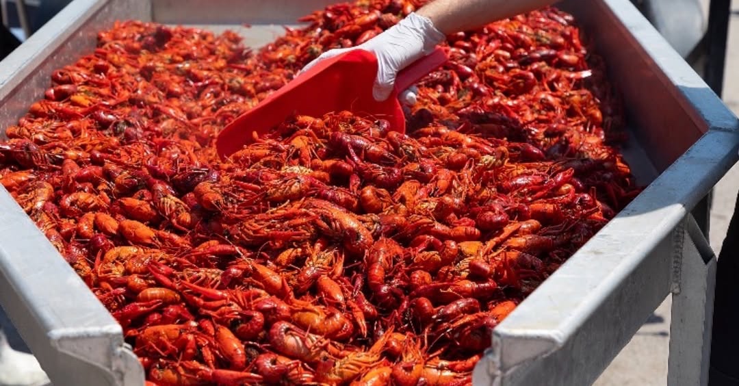 Arrington Vineyards Crawfish Broil_Festival Arrington TN.
