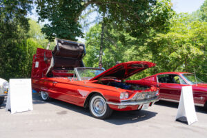 Cars of Exposition of Elegance Nashville TN_Cheekwood.