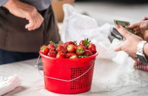 Franklin Farmers Market Franklin, TN, fresh produce.
