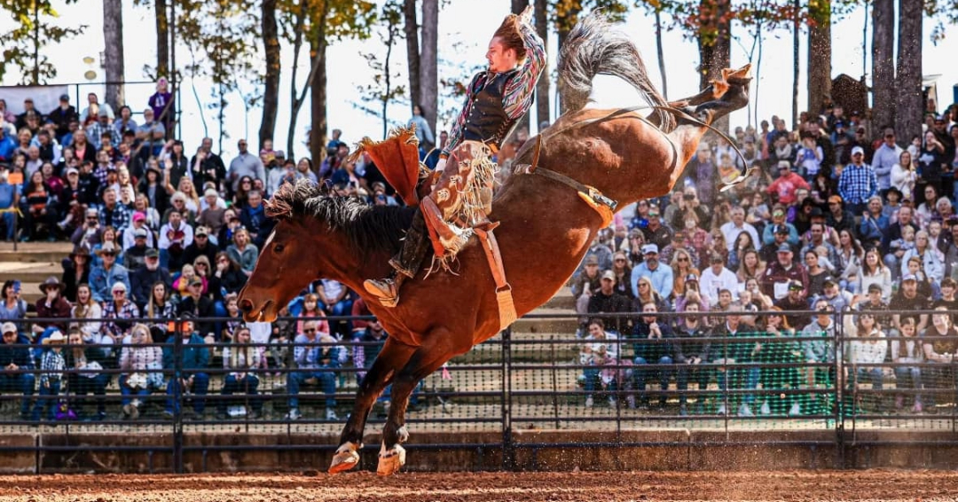 Harlinsdale Franklin Tn Roundup Rodeo