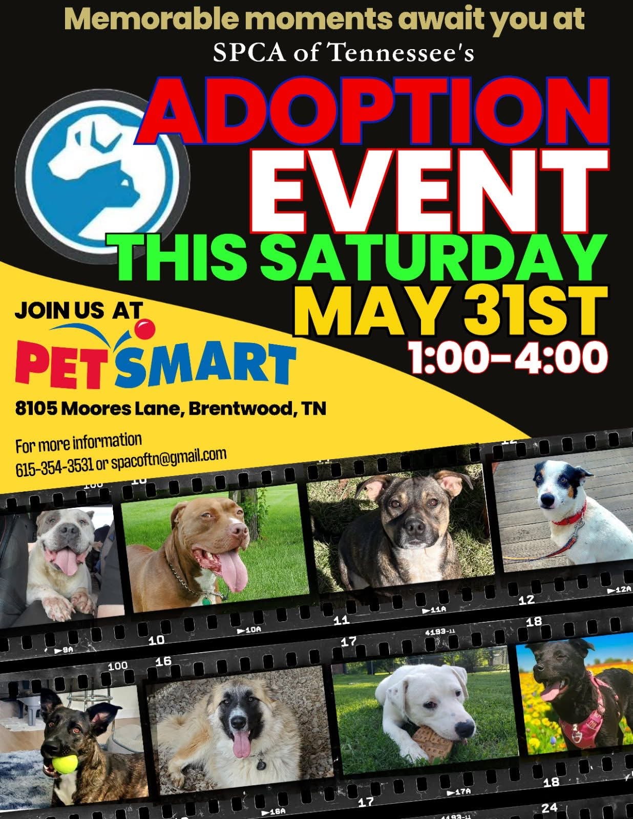 SPCA TN Adoption Event