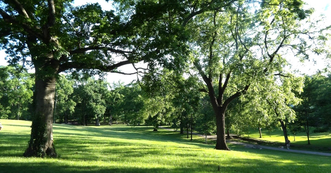 Sevier Park_12 South_Nashville TN