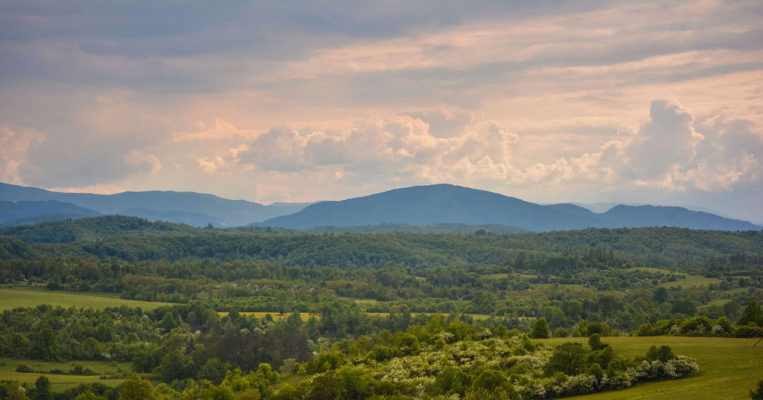 A view of Tennessee hills, blue in the distance, surrounded by green woods.