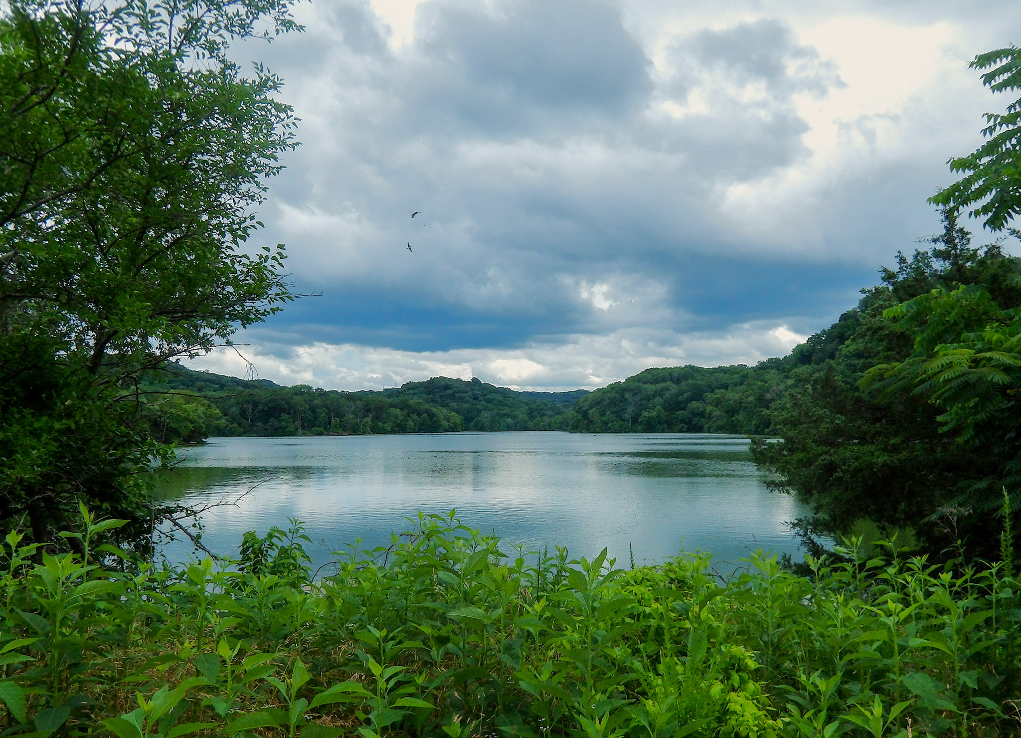 Visit Radnor Lake State Park in Nashville, Tennessee, a beautiful place to hike.