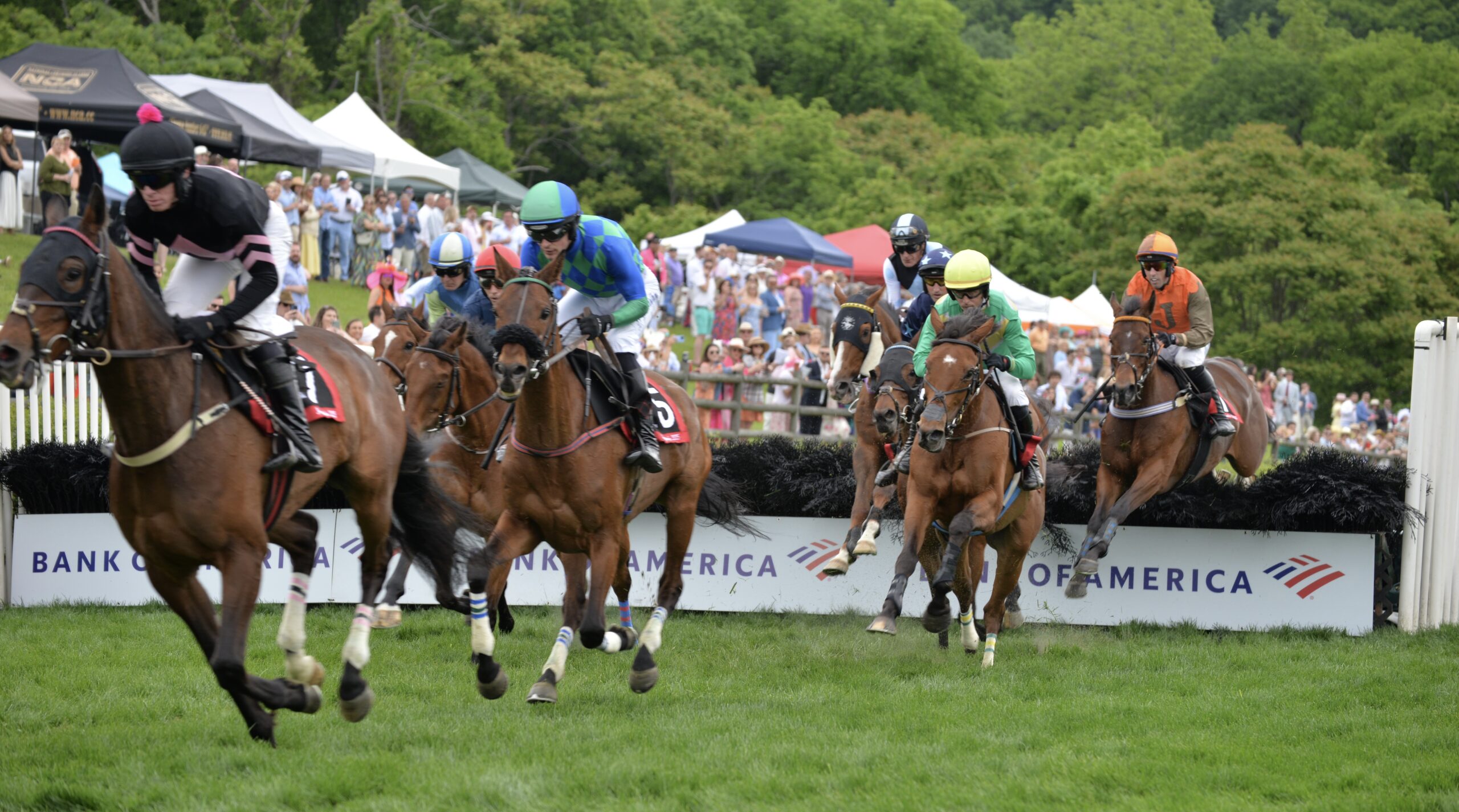 Steeplechase Nashville TN_Brenda Black 8