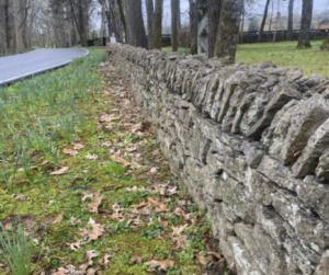 Williamson County Dry Stack Stone Walls