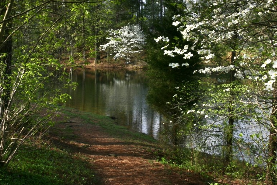 Bowie Nature Park in Fairview, Tennessee is a beautiful sanctuary for wildlife and public community space.