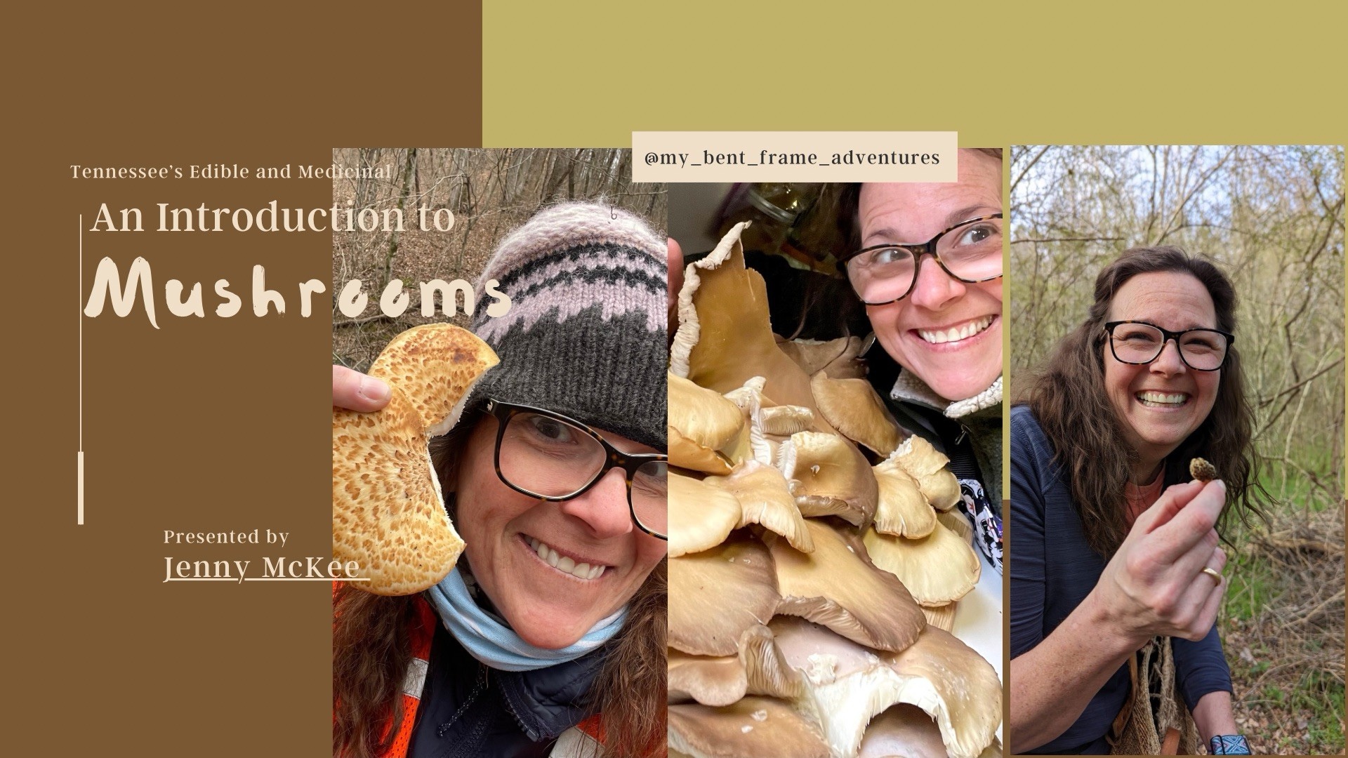 Edible and Medicinal Mushrooms of Tennessee Brentwood, TN Event.