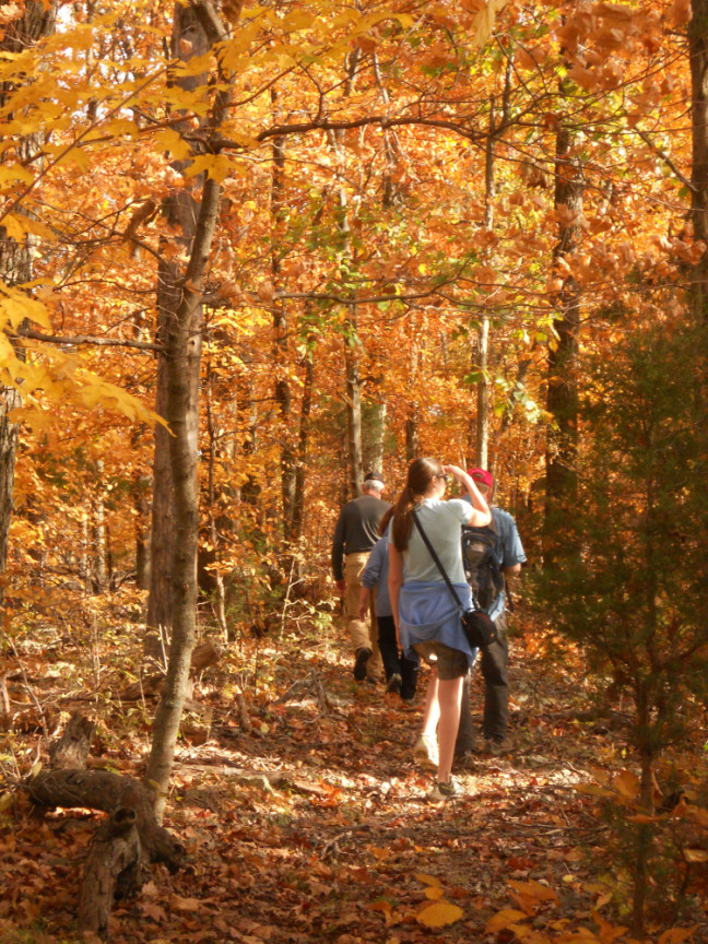 Fall Color Hike at Owl's Hill in Brentwood, TN.