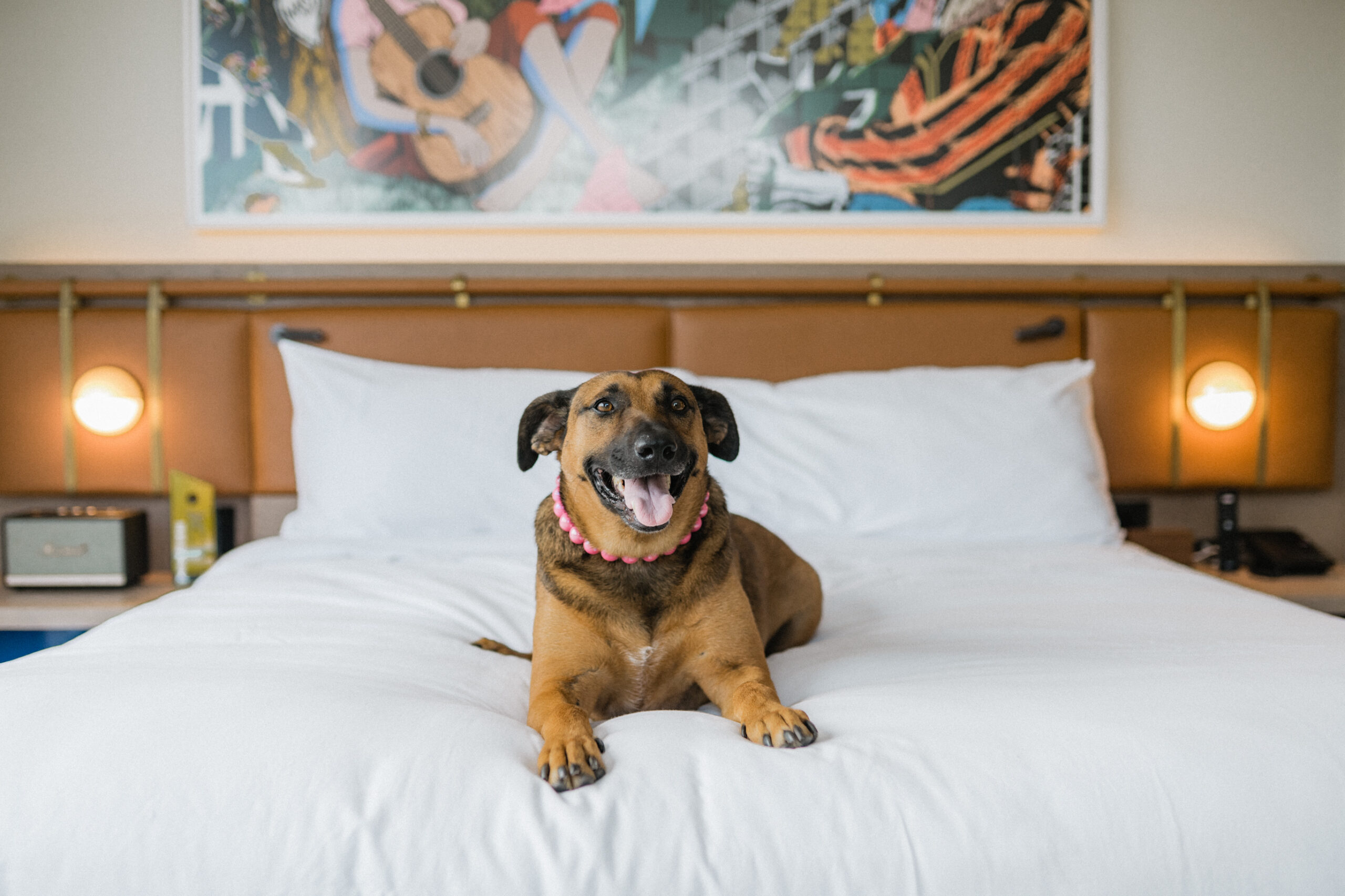 W Nashville_PAW Program03_©Ranan Itchon