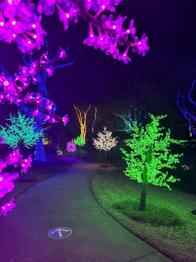 Cheekwood Holiday LIGHTS Nashville, Tenn._Courtesy of Cheekwood Estate & Gardens 3.