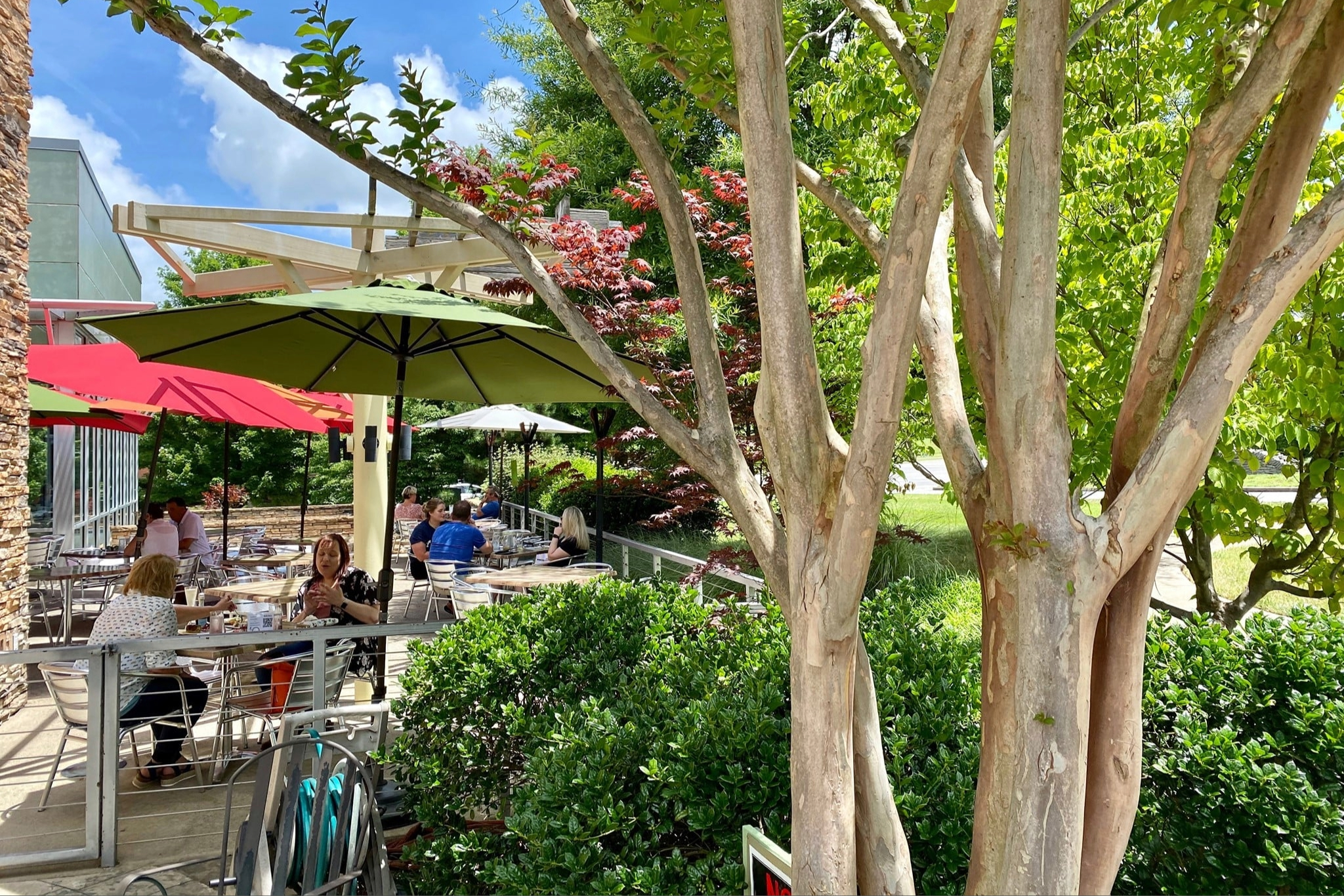 Cool Springs Dining Wild Ginger Franklin TN