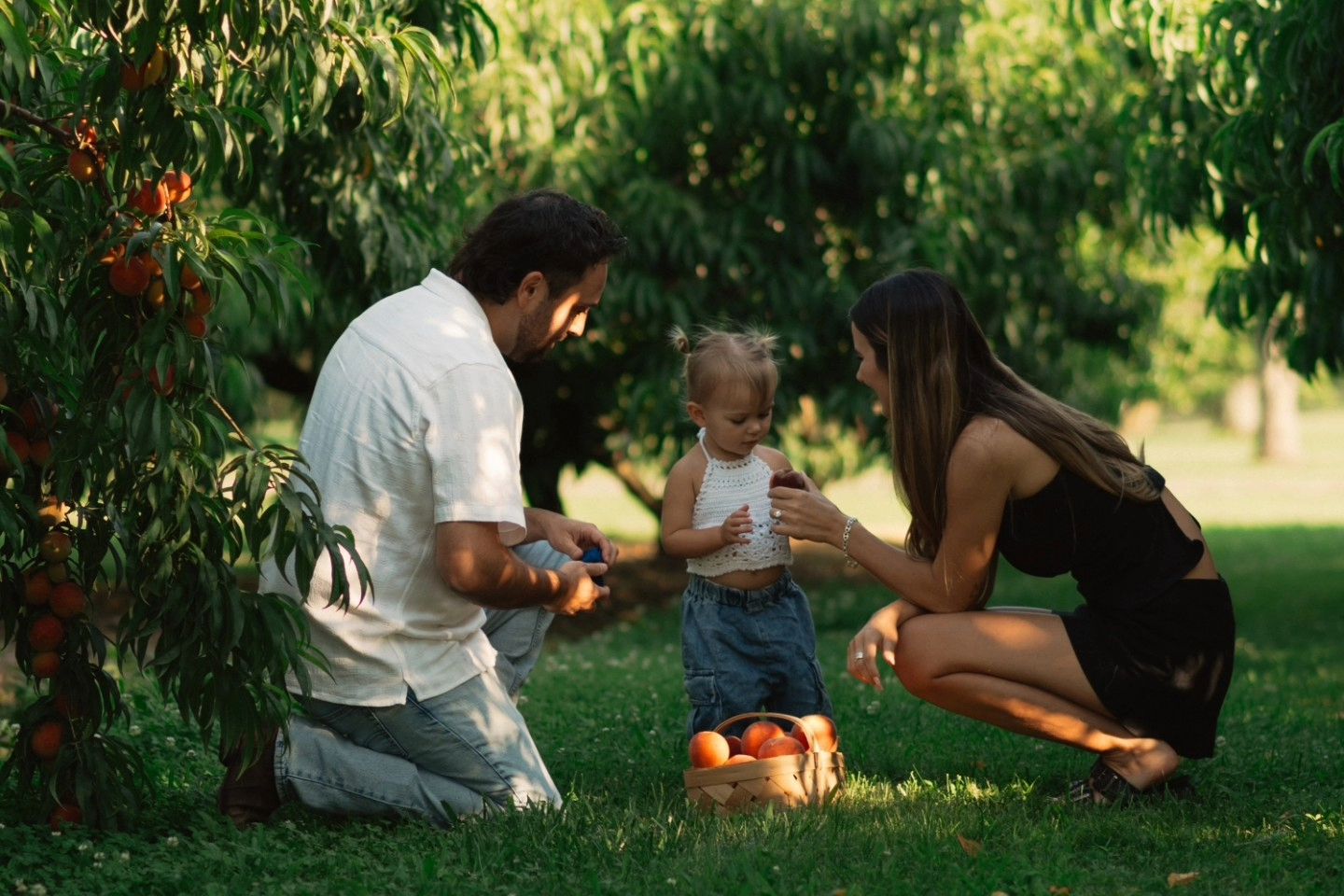 Morning Glory Orchard Fall Activities