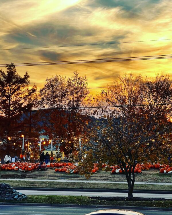 The Pumpkin Patch Franklin, TN Cooper Trooper Foundation 4.