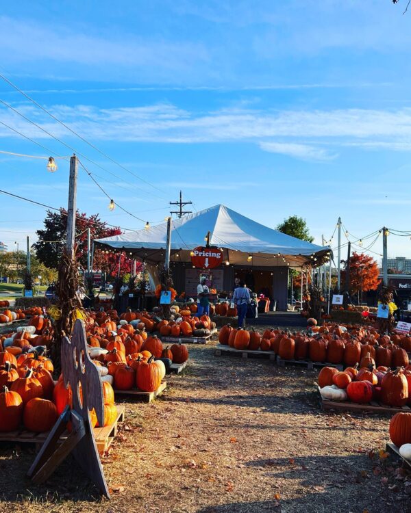 The Pumpkin Patch Franklin, TN Cooper Trooper Foundation 5.