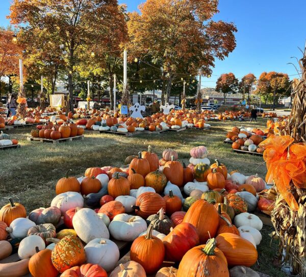 The Pumpkin Patch Franklin, TN Cooper Trooper Foundation_Halloween.