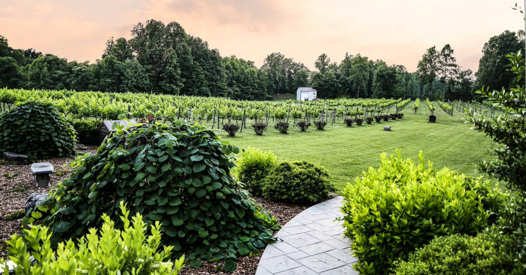 Wineries in Tennesse Natchez Hills Vineyard and Winery Hampshire TN