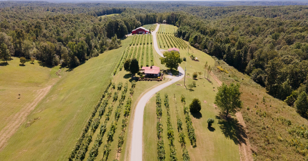 Wineries in Tennessee Amber Falls Winery Vineyard