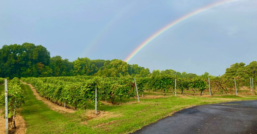Wineries in Tennessee Crown Winery in Humboldt TN