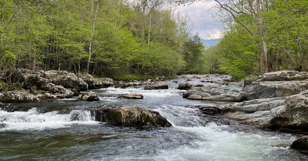 A river at Smoky Mountains National Park in Tennessee and North Carolina.