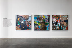 CASS Contemporary Art Gallery in Nashville, TN, Wedgewood Houston, WeHo_Artist Features-8