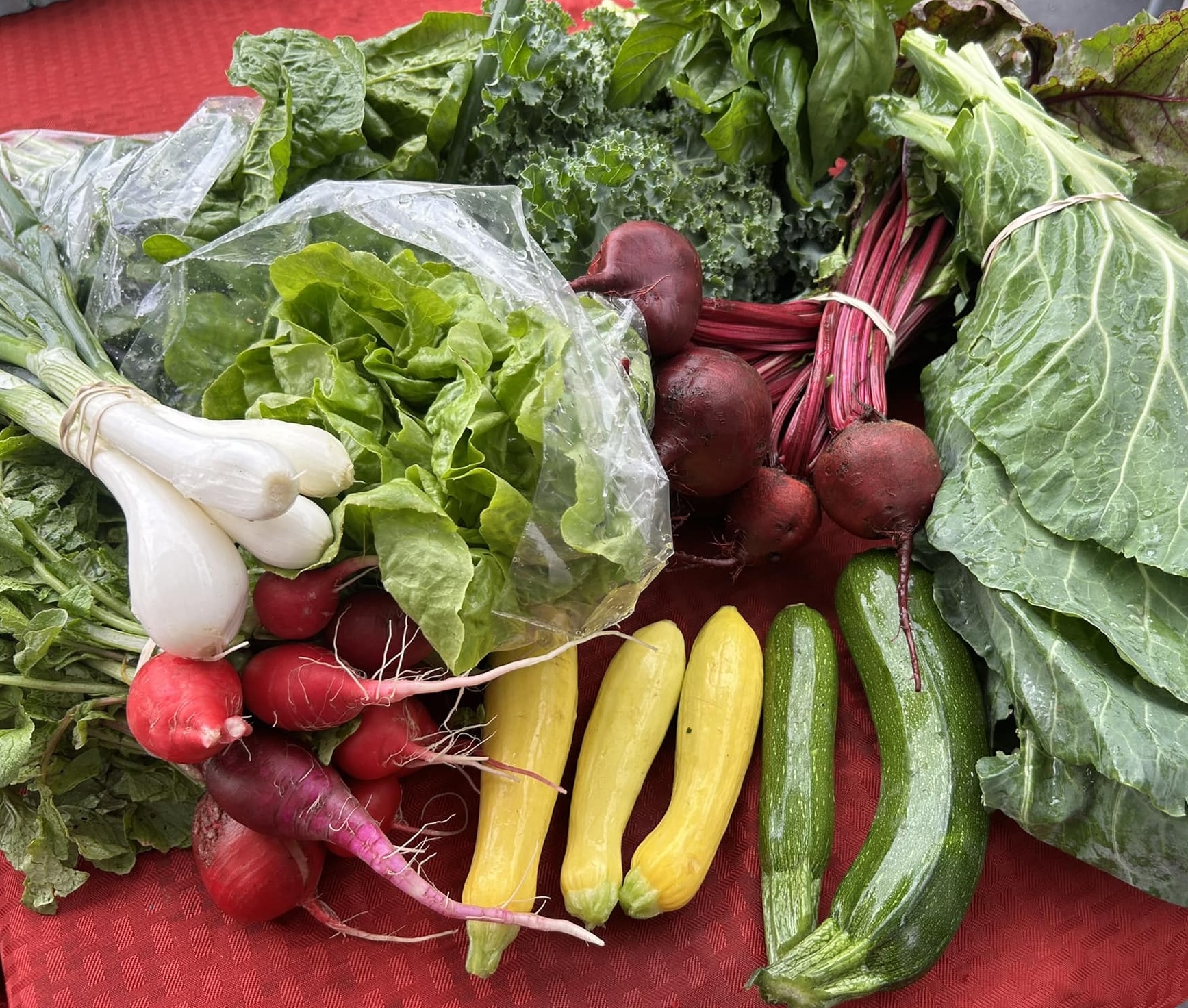 Delvin Farms in Arrington, TN.