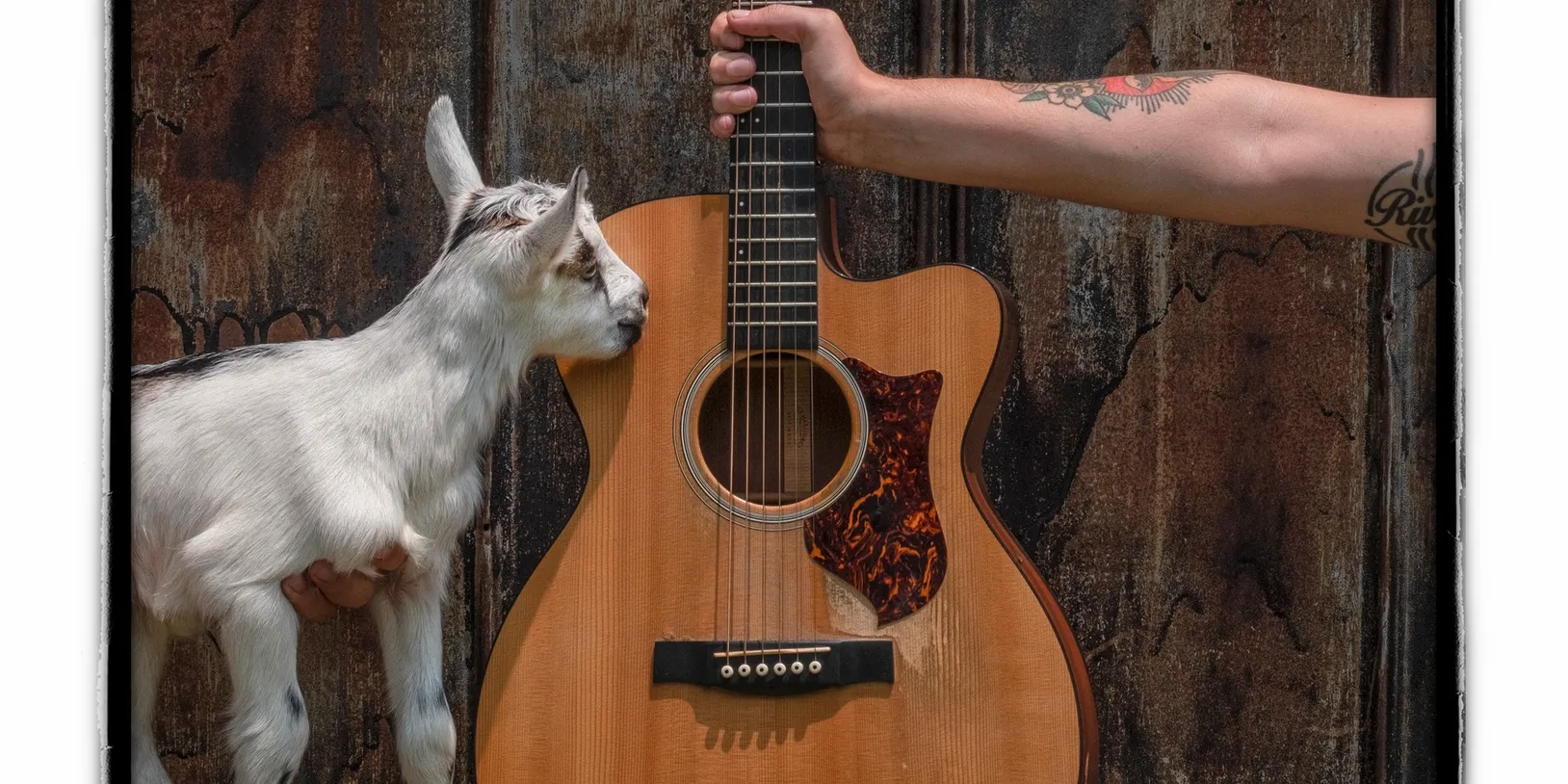 Goats & Guitars Events in Franklin, Tenn., at Noble Springs Dairy.