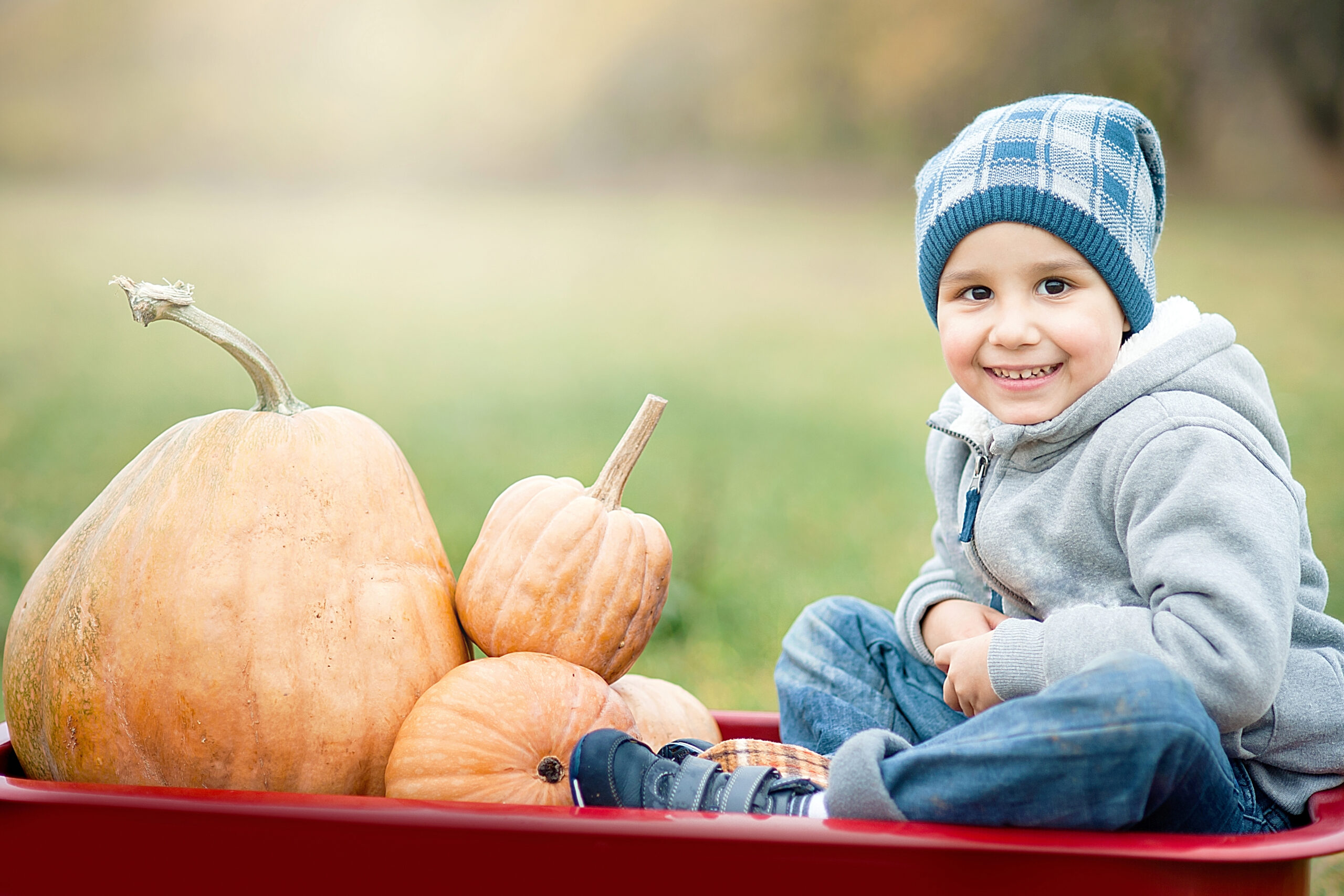 Hayrides Corn Mazes and Pumpkins in Franklin TN