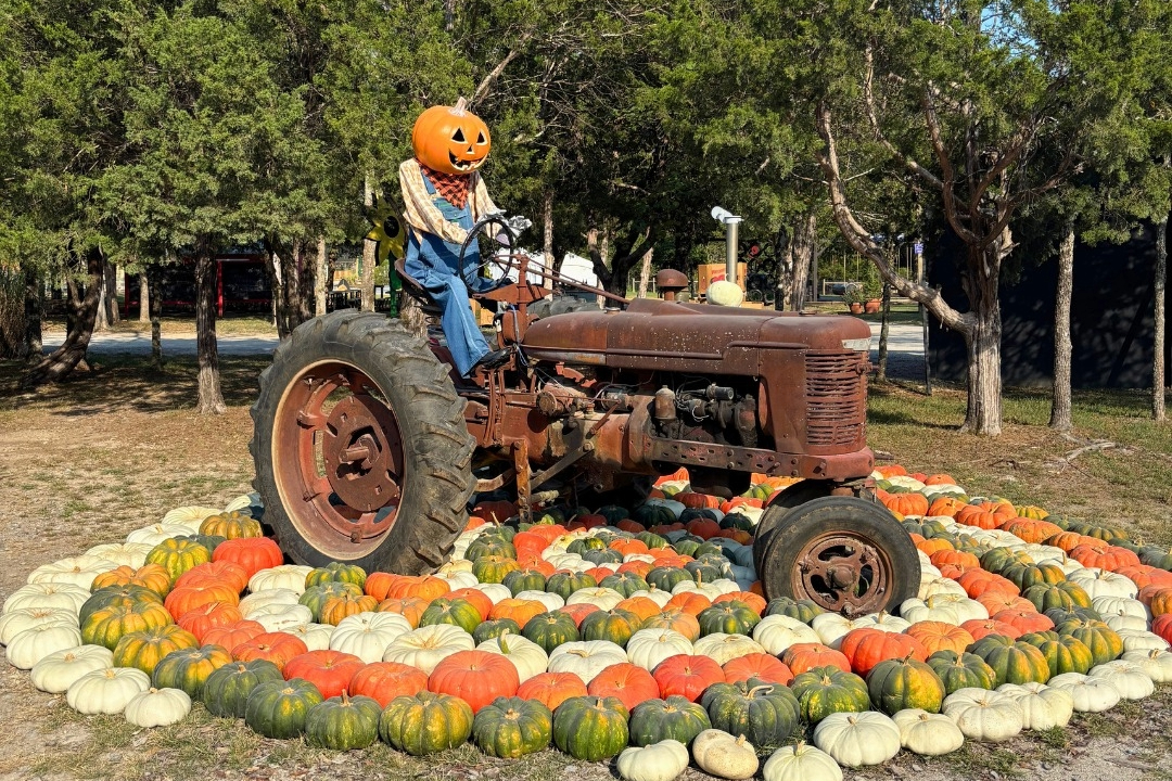 Lucky Ladd Farms pumpkins, hayrides and corn mazes in Eagleville, TN., family activities for all ages.
