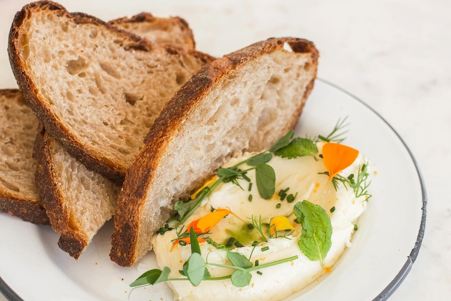 Perenn Bakery Berry Hill Nashville TN
