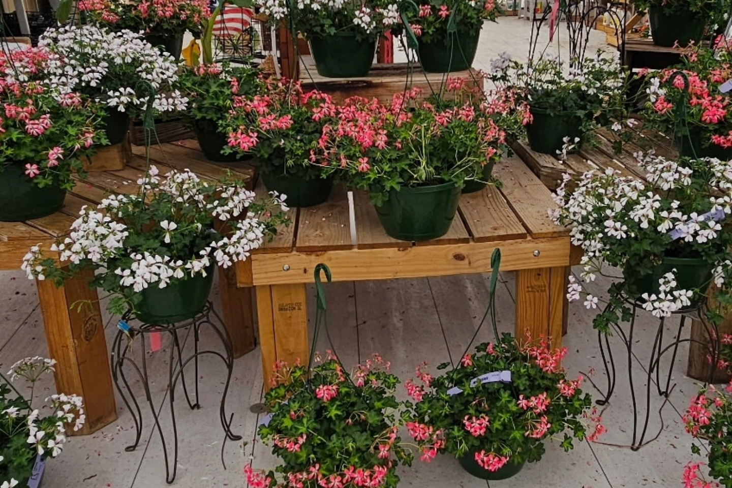 Riverbend Nurseries in Franklin TN